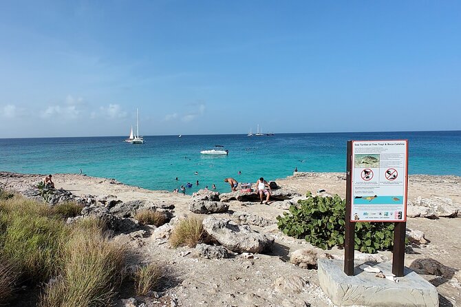Aruba Turtle Spotting Snorkeling Adventure - The short briefing before entering the water