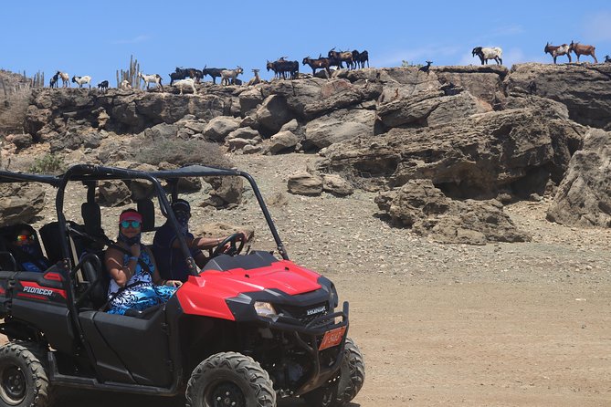 Aruba UTV, ATV Adventure to Secret Beach and Cave Pool - Natural Bridge and Aruba’s volcanic coast