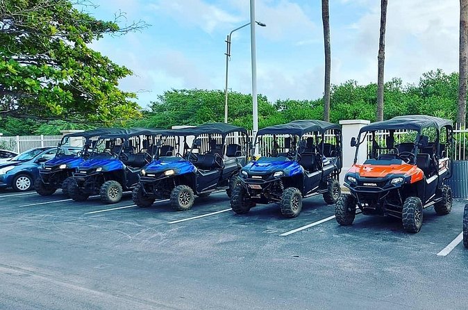 Aruba UTV Rental: 4-Seater for Adventure Exploration - What the UTV feels like on the road