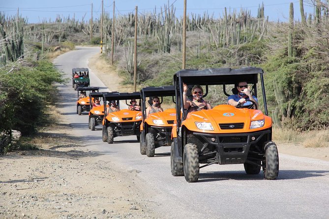 Aruba UTV Tour with Natural Cave Pool and Cliff Jumping - Natural Baby Bridge shows the power of wind and water