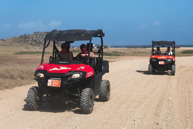 Aruban Roots 3 Hours Adventure by ATV & UTV with Kini Kini - Key points to know before you book