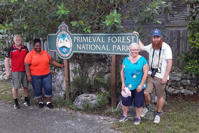 At YOUR Pace Private Tours V.I.P - Nassau, Bahamas - Why the private format changes the day