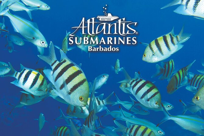 Atlantis Submarine Day Tour - Timing, group size, and comfort