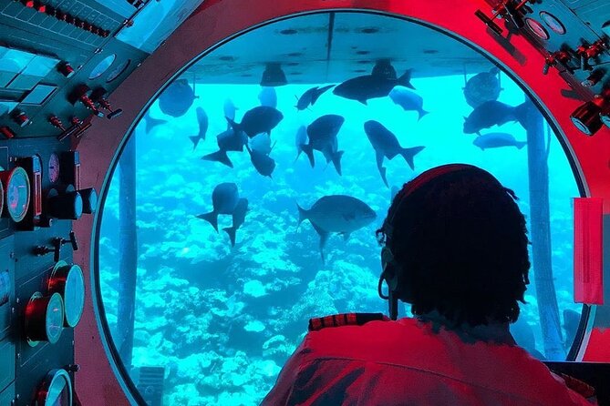 Atlantis Submarines Night Tour - Checking in at Shallowdraught in Bridgetown