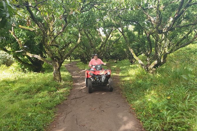 ATV Tour of St Kitts - Port pickup and timing for cruise visitors