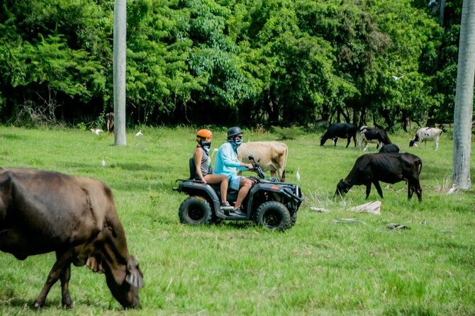 ATVs Fun Tour from Amber Cove and Taino Bay Puerto Plata - Clearing a mountain river