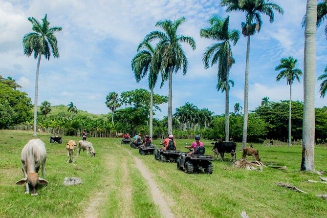 ATVs Fun Tour from Amber Cove and Taino Bay Puerto Plata - A short swim at the beach