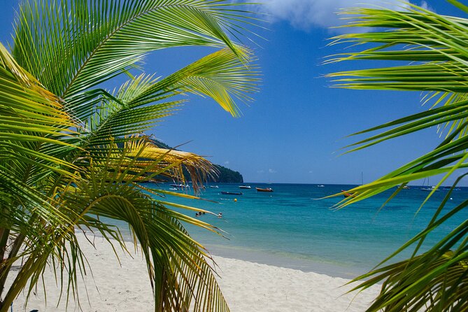 Authentic Tour of Southern Martinique - Key points to know before booking