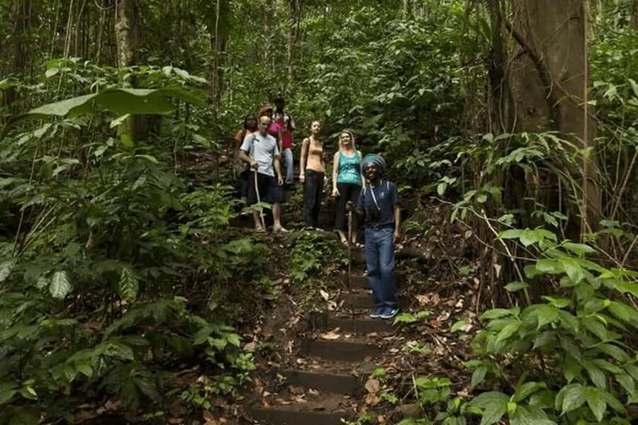 Babonneau/Castries: Rainforest Zip Line, Tram, and Hike Tour - Why the three-part format works