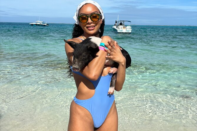 Bahamas Adventure: Pigs, Reef, Turtles, and Beach with Lunch - A full Nassau outing packed into four hours