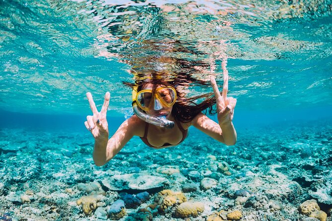 Bahamas Adventure: Pigs, Reef, Turtles, and Beach with Lunch - Lunch and beach time at Footprints