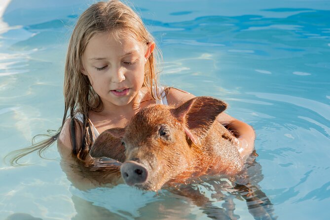 Bahamas Adventure: Pigs, Reef, Turtles, and Beach with Lunch - Feeding and swimming with the pigs