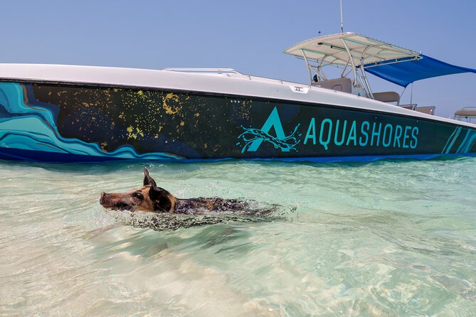 Bahamas Adventure: Pigs, Reef, Turtles, and Beach with Lunch - Who will enjoy this outing most