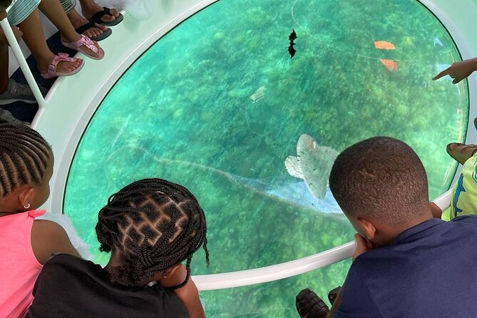Bahamas on a Semi Submersive Glass Bottom Boat - Weather, fitness, and timing considerations