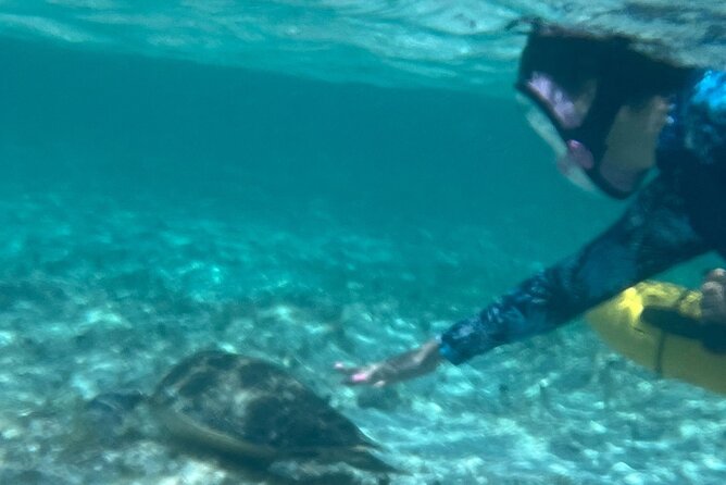 Bahamas Sea Scooter Snorkeling Adventure - Lunch with a view of the beach