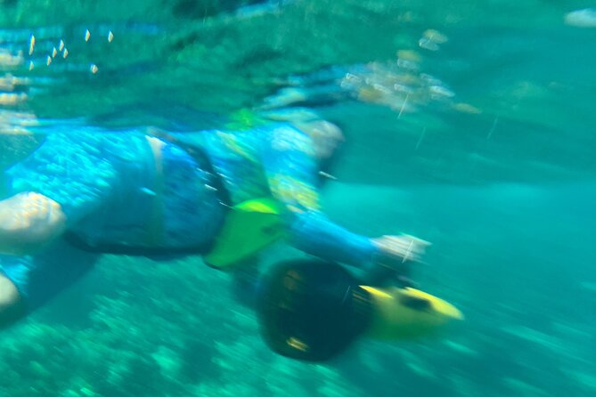 Bahamas Sea Scooter Snorkeling Adventure - Who will enjoy this most?