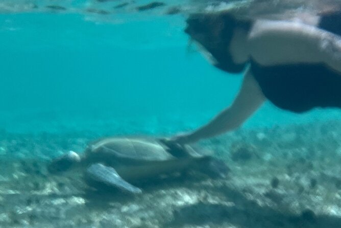 Bahamas Sea Scooter Snorkeling Adventure - Weather, cancellation, and timing