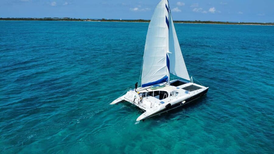 Bahamas: Swimming Pigs & Snorkeling Cruise with Lunch & Rum - Should you book the Tropical Breeze cruise?
