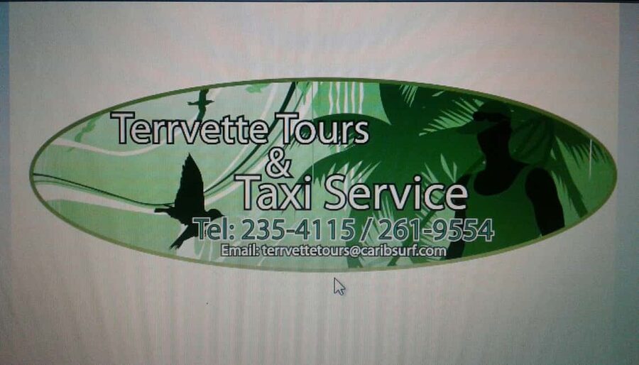 Barbados: 5.5-Hour Island Tour Plantation, Lunch and Drinks - Comfort, timing, and practical details