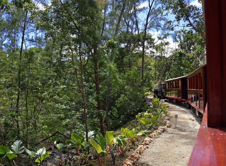 Barbados: 5.5-Hour Island Tour Plantation, Lunch and Drinks - Speightstown and the northern tip