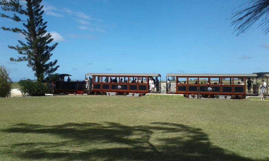 Barbados: 5.5-Hour Island Tour Plantation, Lunch and Drinks - Lunch with local food and a drink