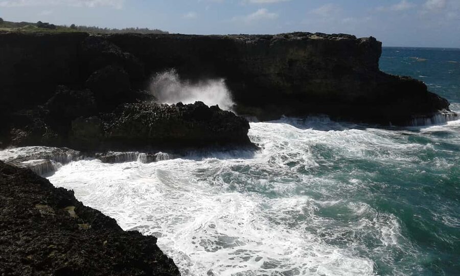 Barbados: 5.5-Hour Island Tour Plantation, Lunch and Drinks - The guide makes the difference