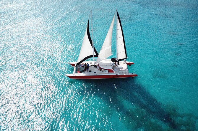 Barbados Catamaran Turtle and Shipwreck Snorkeling Cruise - The shipwreck stop and its tropical fish