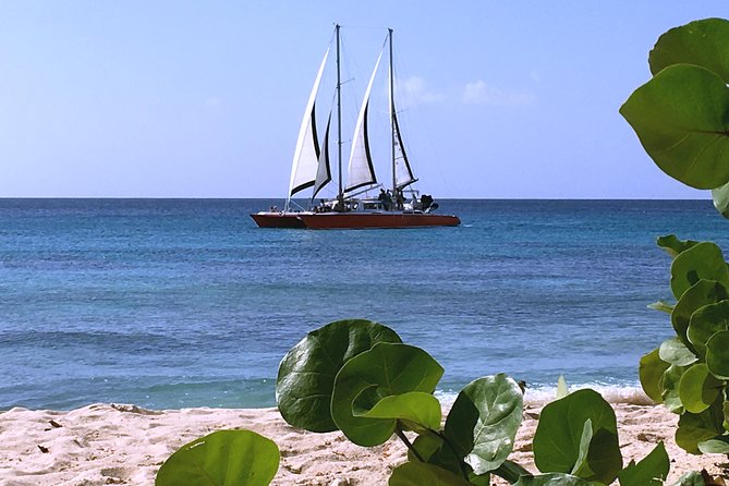Barbados Catamaran Turtle and Shipwreck Snorkeling Cruise - Choosing three hours or five