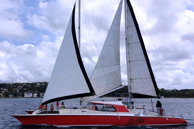 Barbados Catamaran Turtle and Shipwreck Snorkeling Cruise - What lunch and drinks add to the value