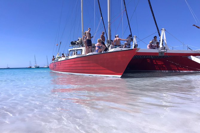 Barbados Catamaran Turtle and Shipwreck Snorkeling Cruise - Who will get the most from this cruise