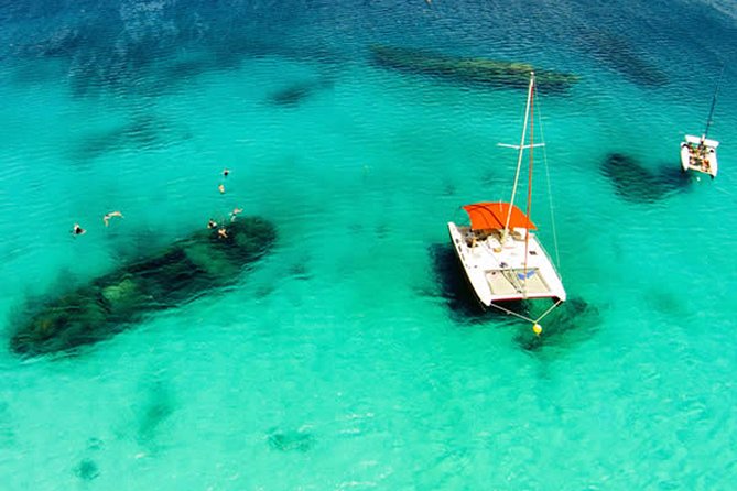 Barbados Catamaran Turtle Snorkel with Lunch and Open Bar - Quick points to know