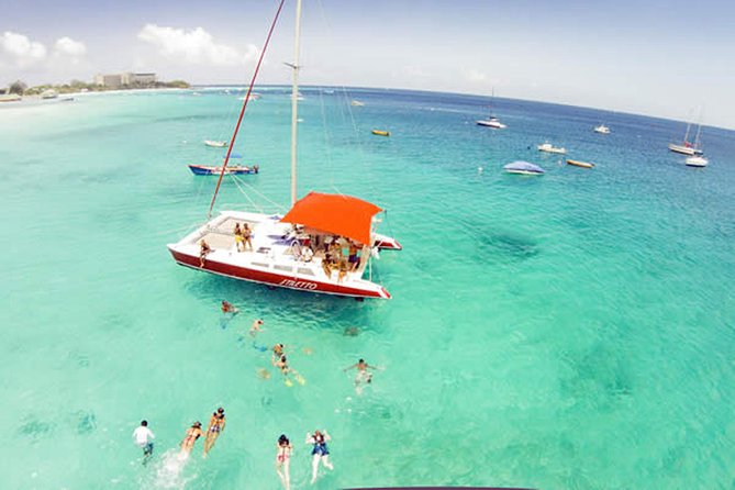 Barbados Catamaran Turtle Snorkel with Lunch and Open Bar - A small catamaran with a social feel