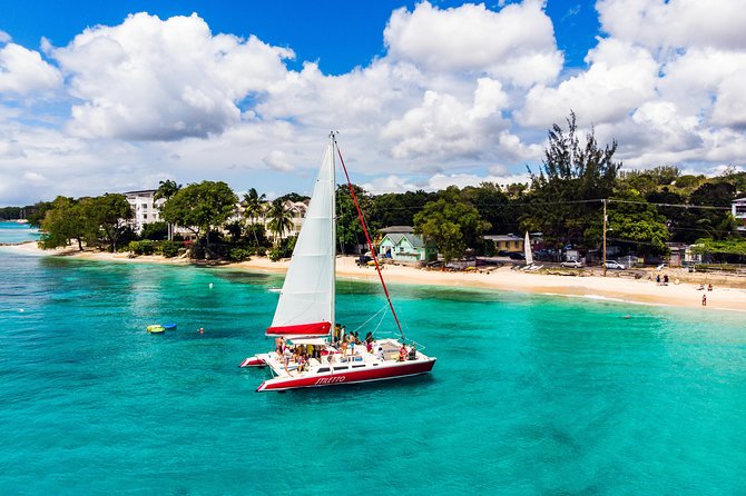 Barbados Catamaran Turtle Snorkel with Lunch and Open Bar - Bajan lunch and the open bar