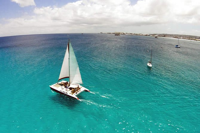 Barbados Catamaran Turtle Snorkel with Lunch and Open Bar - How the price compares with the experience