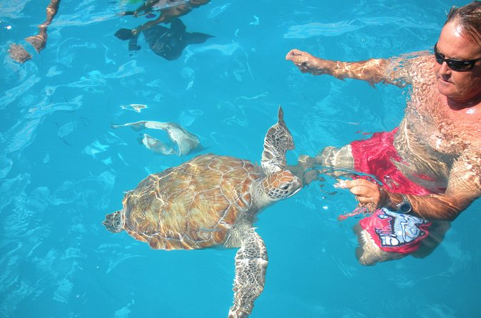 Barbados Catamaran Turtle Snorkel with Lunch and Open Bar - Shipwrecks, fish, and time in the water