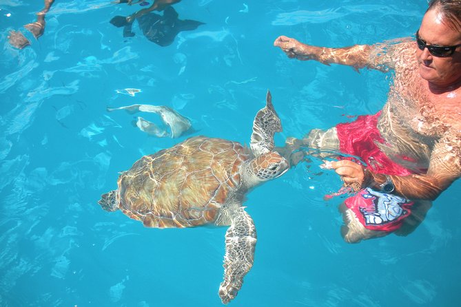 Barbados Catamaran Turtle Snorkel with Open Bar - Why this catamaran works well for a Barbados day