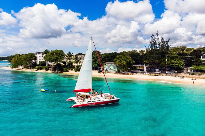 Barbados Catamaran Turtle Snorkel with Open Bar - Group size, comfort, and who should book