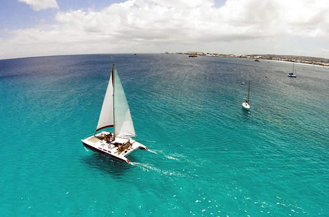 Barbados Catamaran Turtle Snorkel with Open Bar - What to bring and how to plan the day