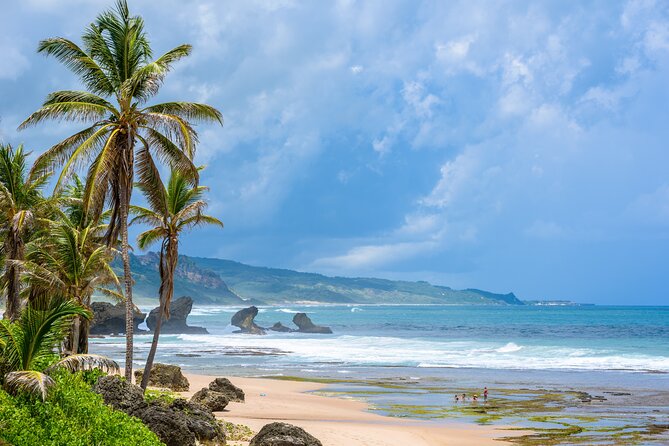 Barbados Coastal Tour - The guide can shape the whole day