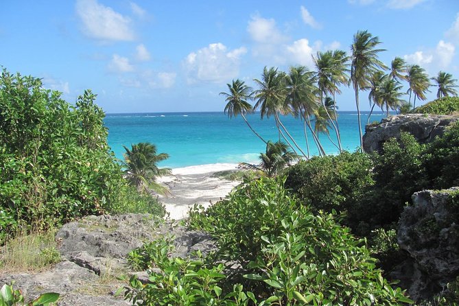 Barbados Full-day Coast to Coast Tour - Rihanna Drive and the story of first settlers