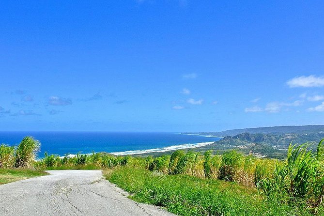 Barbados Full-day Coast to Coast Tour - Lunch at Sand Dunes