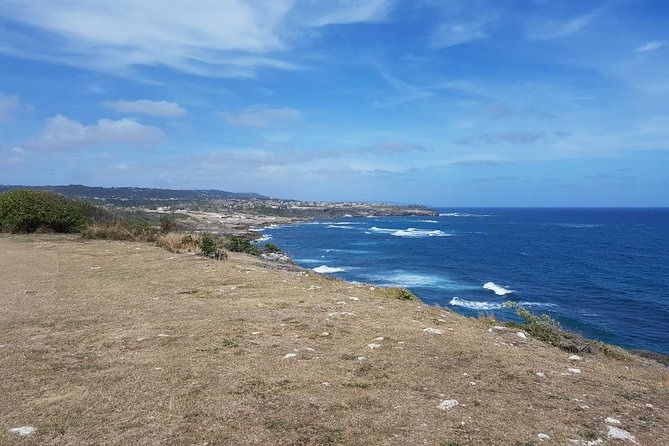 Barbados Full-day Private Tour - Hunte’s Gardens, Flower Forest, and wildlife stops