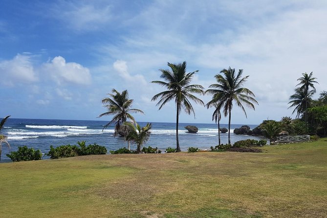 Barbados Full-day Private Tour - Local lunch and an authentic pause
