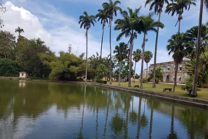 Barbados Full-day Private Tour - History, parishes, and the wider island view