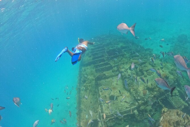 Barbados Glass Bottom Boat Cruise and Snorkeling - The glass-bottom view comes first