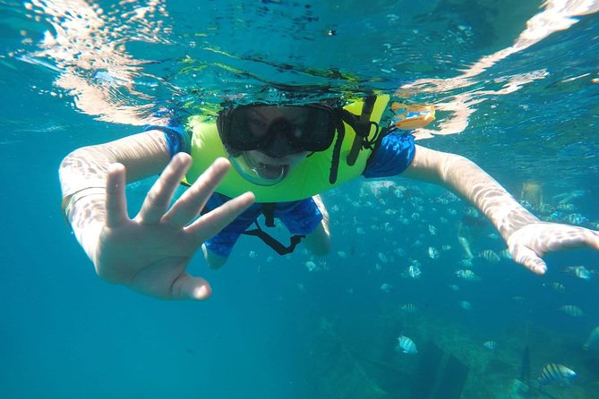 Barbados Harrison's Cave Tram Tour and Boat Cruise Snorkel Adventure - Who will enjoy this Barbados outing most?