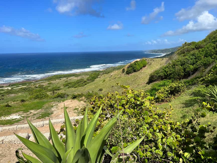 Barbados Highlights Tour - Cherry Tree Hill brings the wide views