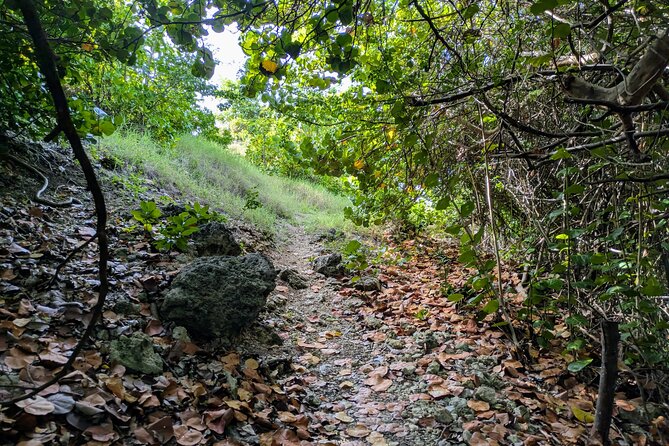 Barbados Hiking and Sightseeing Tour (Transport Included) - Skeete’s Bay and Ragged Point Lighthouse