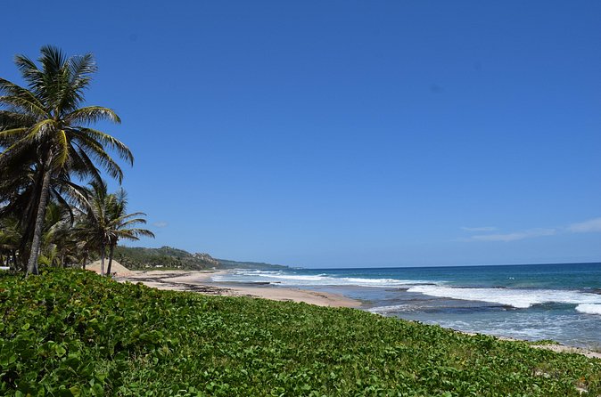 Barbados Island Highlights Half-Day Tour - Bathsheba and Barbados’s rougher Atlantic shore