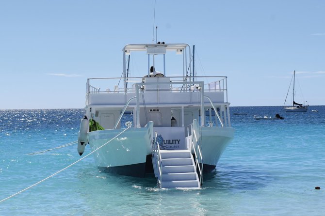 Barbados Island Tour, Monkey feeding & Swimming with the Turtles - What the guides add to the day